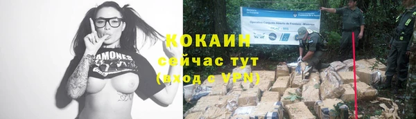 кокс Алексеевка