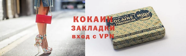 прущий лед Алзамай