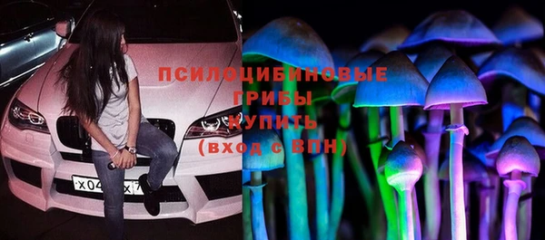 крисы Протвино