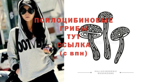 прущий лед Алзамай