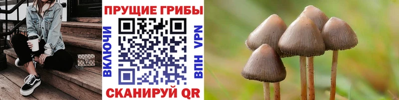 даркнет сайт  Хотьково  Галлюциногенные грибы ЛСД 